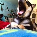 Anne-Sophie Sandorff - Instagram Profile Picture of Anne-Sophie Sandorff (@annibyanni) on Instagram