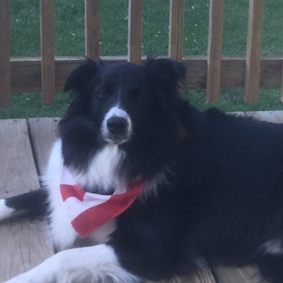 Profile Picture of Robert Brownback (@Robert69347257) on Twitter