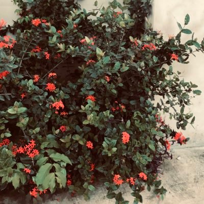 Profile Picture of Benjamin Polley (@BenjaminPolley5) on Twitter