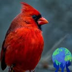 Profile Picture of Donna Reynolds (@donna.reynolds.762395) on Facebook