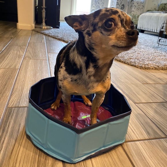 Profile Picture of Steve Kowalski (@hitemz06) on Poshmark