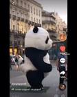 Profile Picture of   🍯🧸💕 (@hxney.bear.edits)... (@hxney.bear.edits) on Tiktok