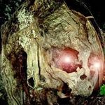 Profile Picture of Ilario Simonetta (@similsr36) on Instagram