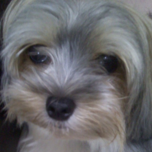 Profile Picture of Suzi Hendrixson (@posh1963) on Poshmark