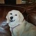 Profile Picture of Randall Osteen (@randall.osteen.73) on Facebook
