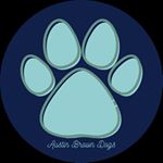 Profile Picture of Sarah Welch (@austinrescuedogs) on Instagram