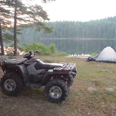 Profile Picture of Luanne King (@luking56) on Twitter