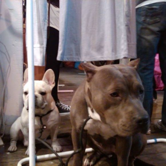 Profile Picture of Cheng-wei Huang (@chengwei) on Poshmark