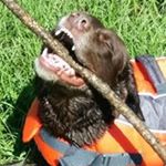 Profile Picture of Justin Flowers (@justin.flowers.961) on Instagram