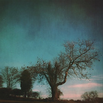 david threadgold - Flickr Profile Picture of david threadgold (@davidthreadgold) on Flickr