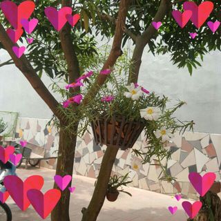 Profile Picture of Huu Chu (@huu.chu.18007218) on Facebook