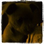 Profile Picture of Ariel Kelley (@arielkelley95) on Instagram