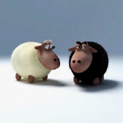 David - Twitter Profile Picture of David (@David_Bomba) on Twitter