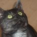 Profile Picture of Merlin Engel (@merlin.engel.3) on Facebook