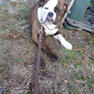 Profile Picture of Dwane Ridgeway (@dwane.ridgeway.39) on Facebook