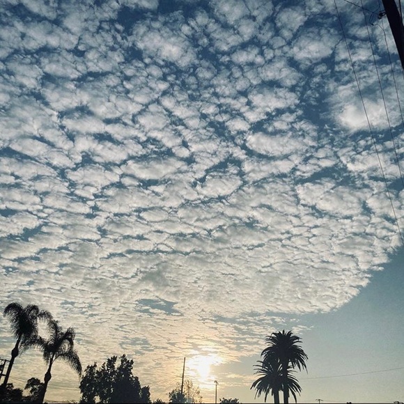 Profile Picture of Jerrina Saiz (@jerrinasaiz) on Poshmark