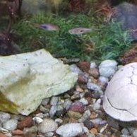 Profile Picture of Richard Turcotte (@Richard62556889) on Twitter