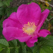 Profile Picture of Paula Knight (@paulaknight9863) on Youtube