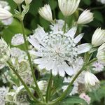 Profile Picture of Yvonne Potts (@potts.yvonne) on Instagram