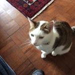 Profile Picture of Peter Hemming (@peter.hemming) on Instagram