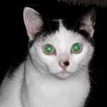 Iris Maier - Instagram Profile Picture of Iris Maier (@iris.maier.963) on Instagram