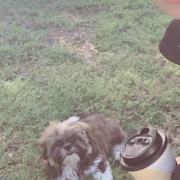 Profile Picture of Thu Huynh (@shoptthu2) on Poshmark