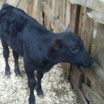 joseph henley - Instagram Profile Picture of joseph henley (@joehenley02) on Instagram