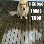 Profile Picture of jennifer sandra herritt (@jenny_rainbow_lover) on Instagram