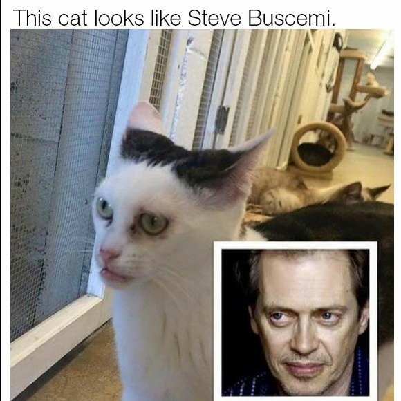 Profile Picture of Happily Neverafter (@happyneverafter) on Poshmark