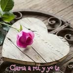 Profile Picture of Alma Patricia Rosas Cabello (@almapatricia.rosascabello) on Facebook