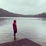 Profile Picture of Lucas Michael (@jellyfishbrigade) on Instagram