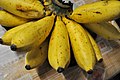 Profile Picture of Latundan bananaon Wikipedia