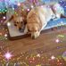 Profile Picture of Miranda Hutchings (@miranda.hutchings.5) on Facebook