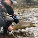 Profile Picture of Peter Wendël (@ziomel) on Instagram