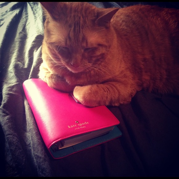 Profile Picture of Lacy Struckmeyer (@lacylyn) on Poshmark