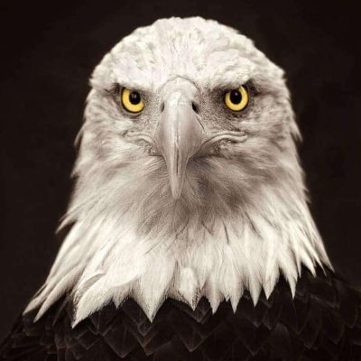 Profile Picture of Baba Bahati Mbaya (@alexmunala2) on Twitter