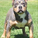 Profile Picture of Rynne (@da.niel8769) on Instagram