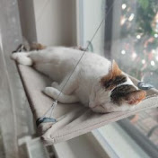 Profile Picture of Alex Lindholm (@Alex007junior) on Youtube