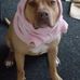 Profile Picture of Sandy Scully (@sandy.scully.501) on Facebook