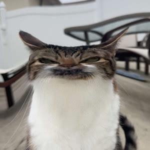 Profile Picture of brianpozin (@brianpozin) on Tiktok