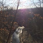 Tommy Dearden - Instagram Profile Picture of Tommy Dearden (@deardentommy) on Instagram