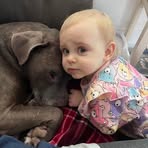 Profile Picture of Jacob Mortensen (@Jacob-Mortensen) on Facebook