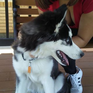 Profile Picture of Art Cuevas (@art.akachico.5) on Facebook