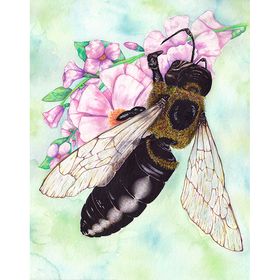 Profile Picture of Kim Waldie (@kawaldie) on Pinterest