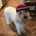 Profile Picture of Mike Winner (@mike.winner.9889) on Facebook