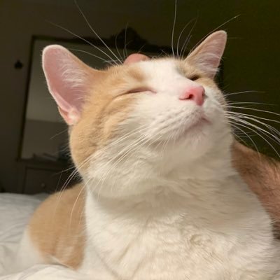 Profile Picture of Expo ‘85 (@power_crystals) on Twitter