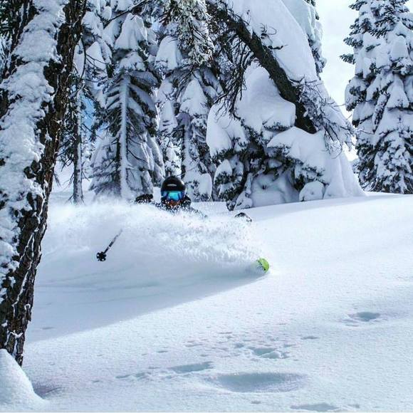 Profile Picture of Matthew j Roginski (@m_roginski) on Poshmark