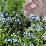 Profile Picture of tori boone (@boone.tori) on Instagram