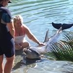 Profile Picture of Paula Floyd (@smurfvy) on Instagram