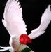 Profile Picture of David Wigner (@david.wigner.10) on Facebook